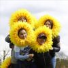 Sunflower Headgear, Funny Performance Props, Sunflower Hat Hood for Dance Party Festival Games Kids Teens Adults - Image 4